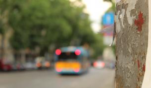 Променят маршрута на ключова автобусна линия в София