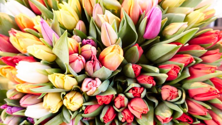  Кои ще са най-магичните и сполучливи дни през май 2021 