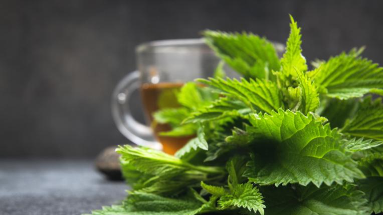  4-те най-силни билки против косопад 