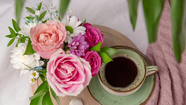  Избери си картинка и виж какви изненади те чакат през ЮЛИ 