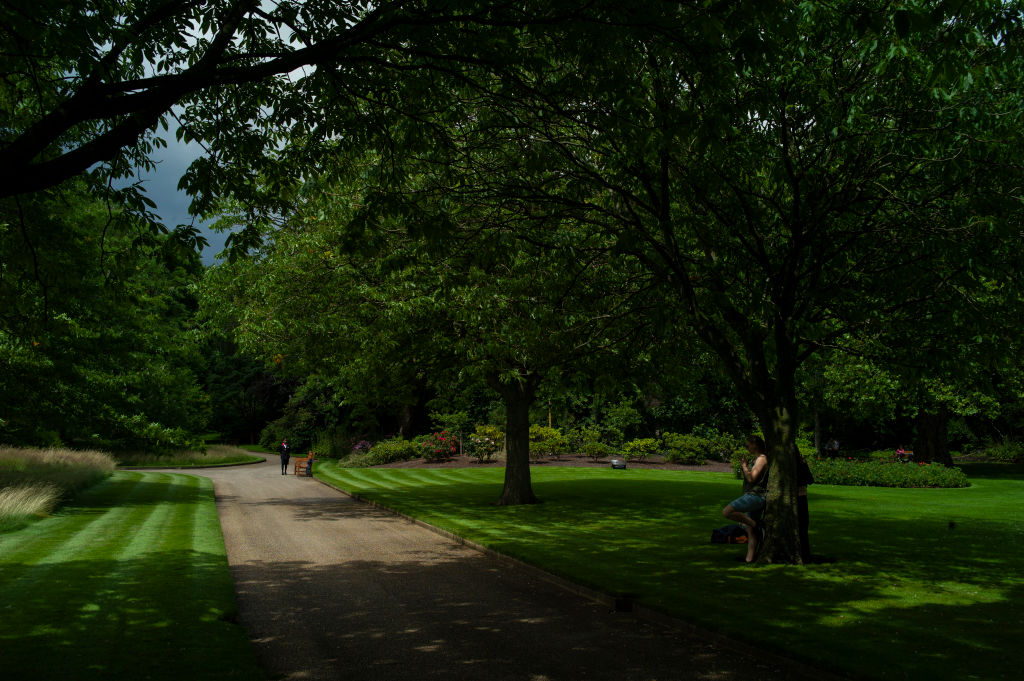 <p>Разходка в градините на Бъкингамския дворец</p>