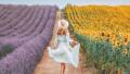 жена лято природа поле цветя слънчоглед лавандула слънце