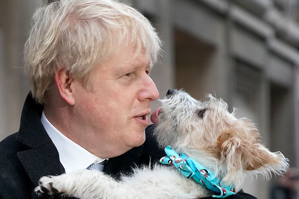 <p>Дилин - кучето на британския премиер Борис Джонсън</p>