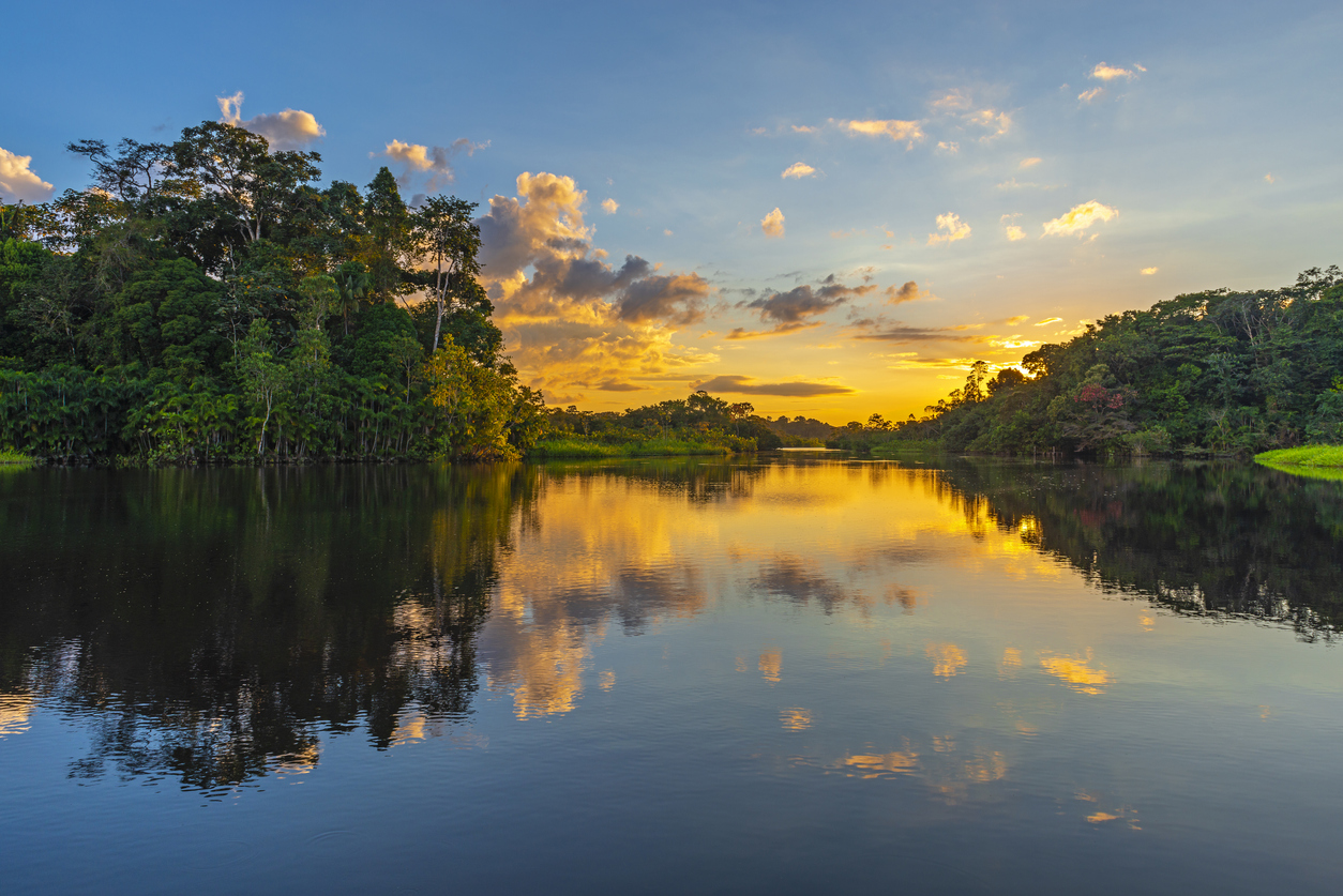 <p><strong>The Amazon Rain Forest </strong>- Бразилия и Перу (но включва части и от Колумбия, Еквадор и Боливия).&nbsp;В продължение на 55 милиона години това е дом на удивителен набор от диви животни - най-малко 10 процента от световното биоразнообразие.</p>