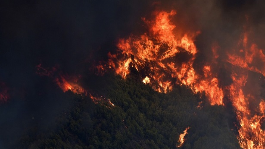 Кошмар, пожарът край Атина е извън контрол, евакуация
