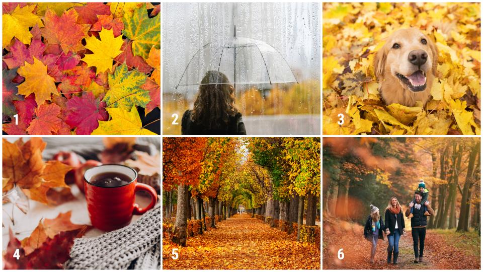  картинки есен 