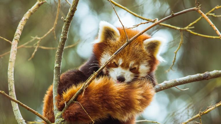  Дневен хороскоп за 20 декември, вторник 