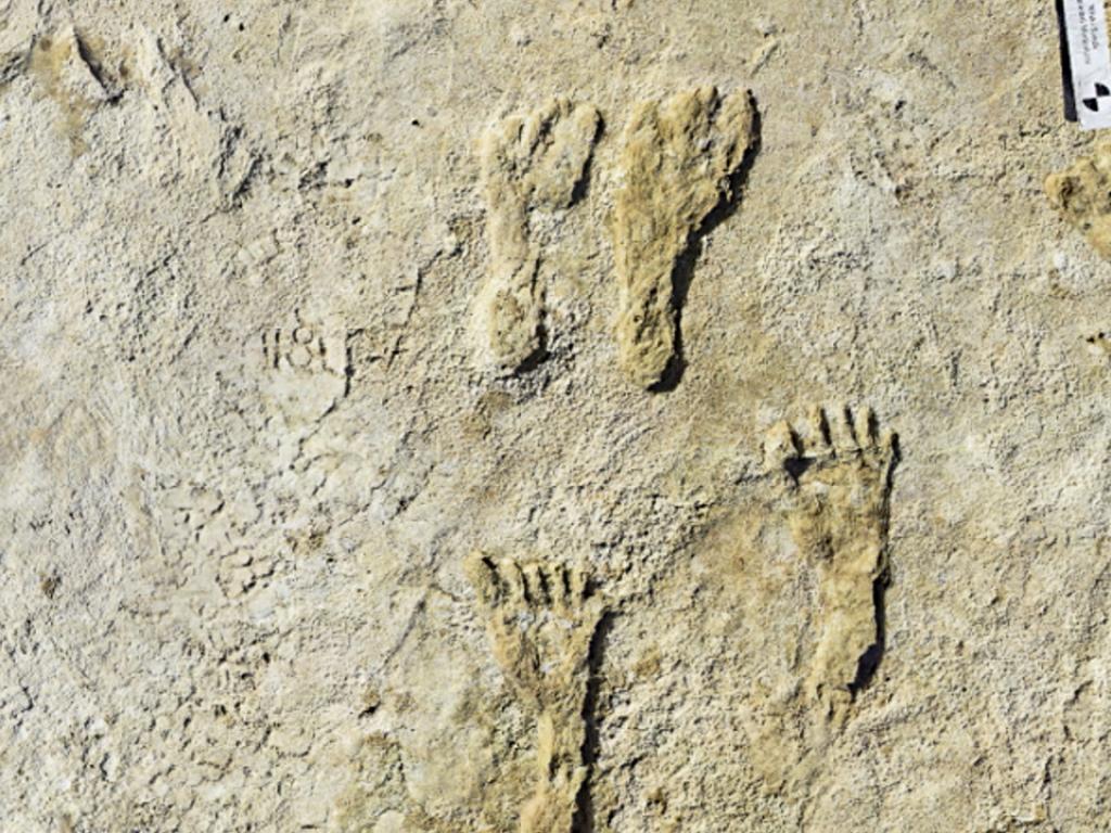 Преди две години екип от археолози идентифицирали 23 000 годишни човешки