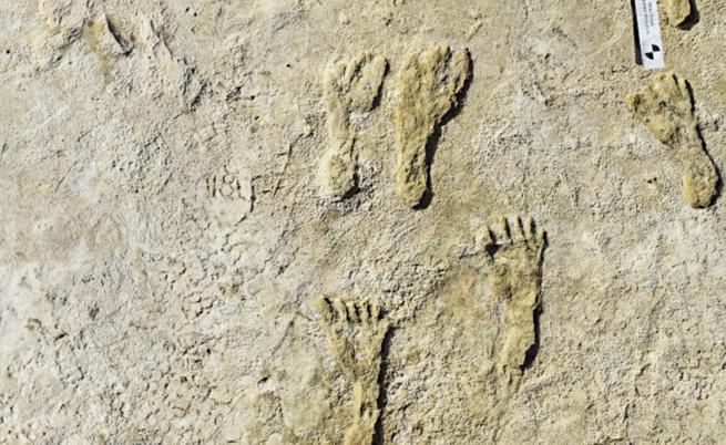 Отпечатъци, датиращи отпреди около 23 000 години, пренаписват човешката история на Америка