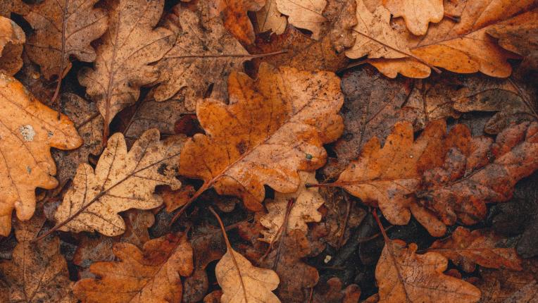  ТЕСТ: Избери чаша и виж какъв съвет би трябвало да последваш през днешния ден 