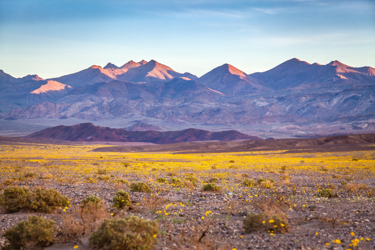 <p>Национален парк Death Valley</p>