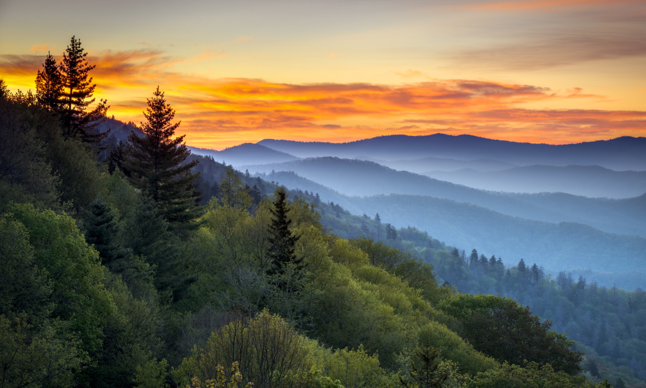 <p>Национален парк Great Smoky Mountains</p>