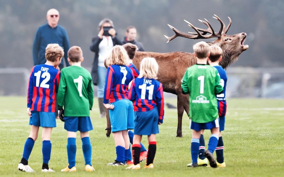 На 9-и октомври в югозападен Лондон се случи нещо, което