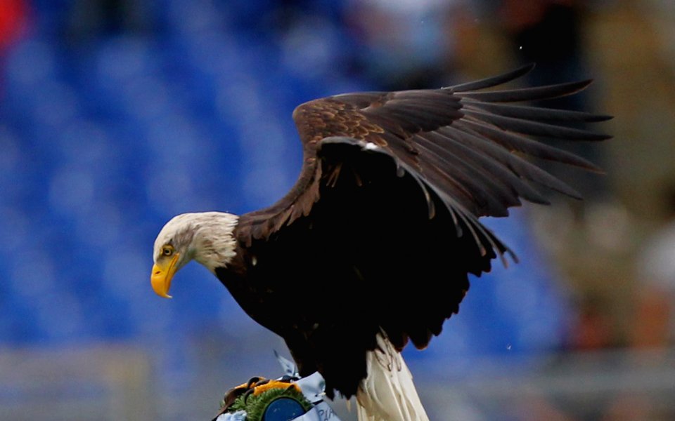 Дресьорът на орлите на Лацио Хуан Бернабе е временно отстранен
