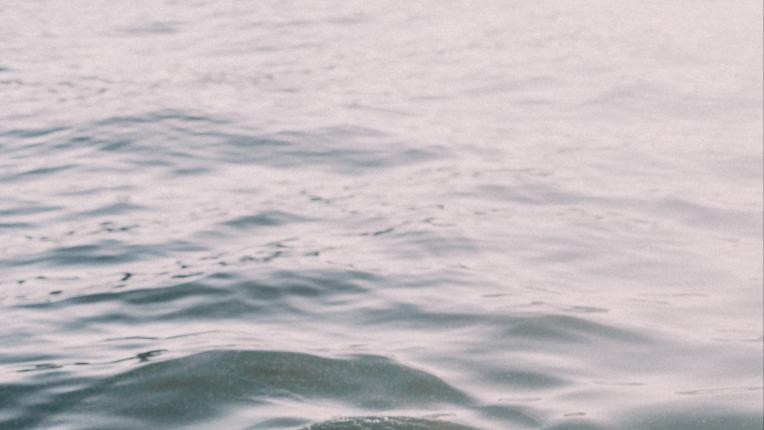  10 забавни обстоятелства за Скорпион 