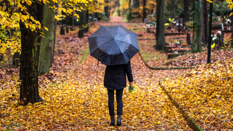 жена дъжд есен чадър природа листа