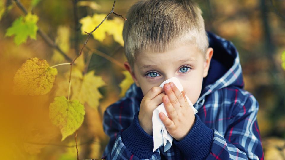 Есенно-зимните алергии и децата – как да ги предотвратим