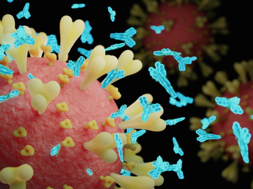 Новите случаи на коронавирус у нас регистрирани за последното денонощие