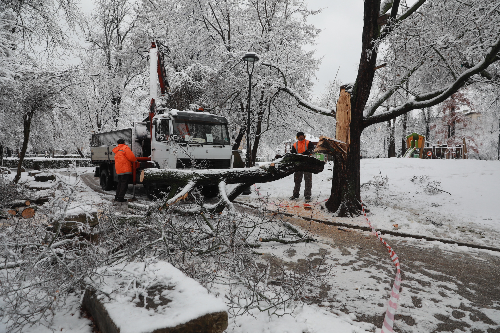 <p>Дърво падна в Докторската градина в София</p>