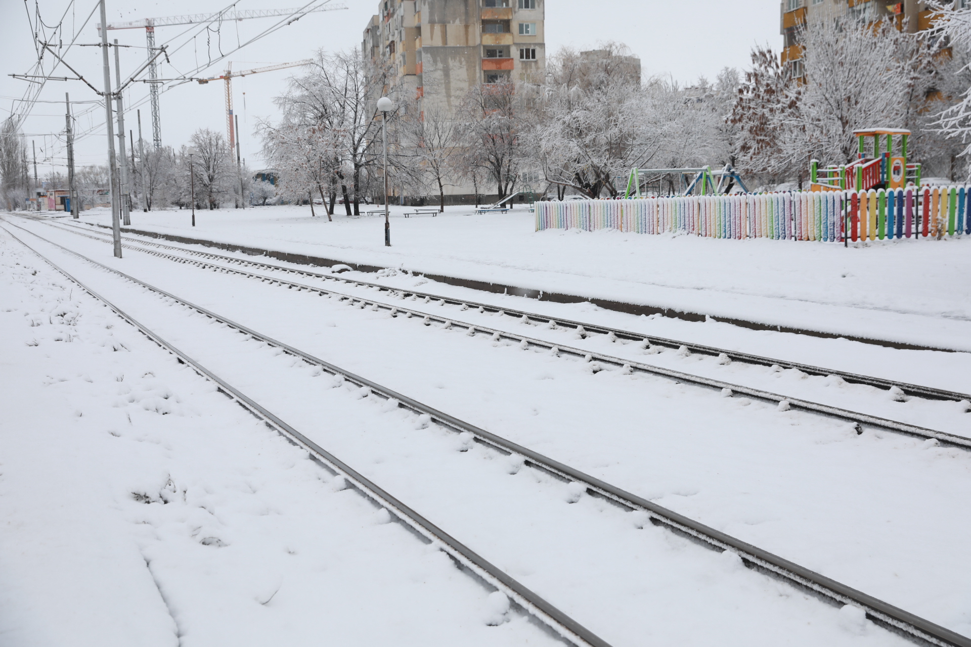 <p>Дърво падна в Докторската градина в София</p>