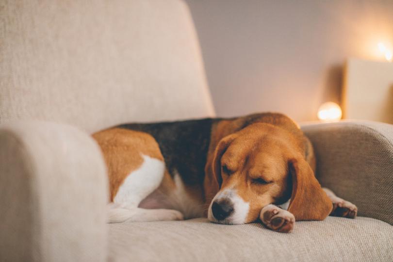 Дневен хороскоп за 7 декември, вторник - снимка 9