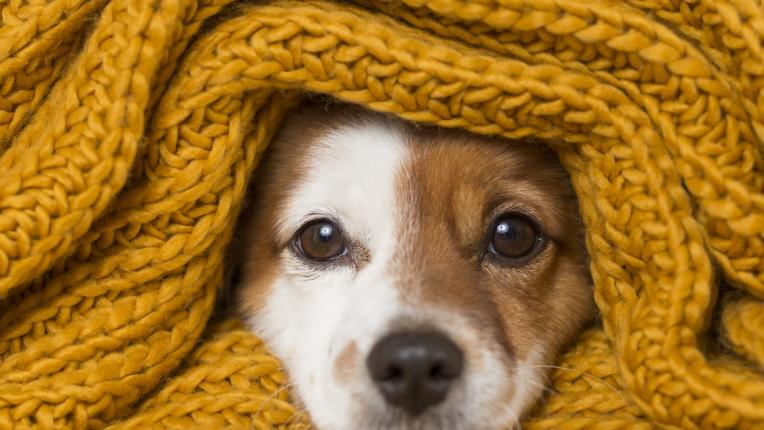  Дневен хороскоп за сряда, 5 януари 