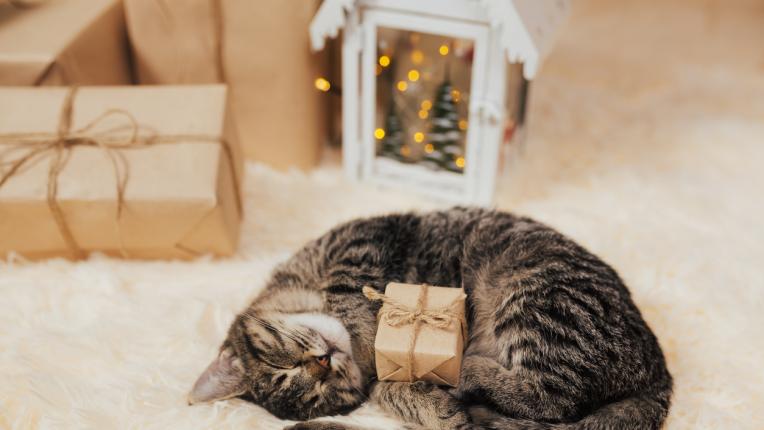  Дневен хороскоп за сряда, 5 януари 