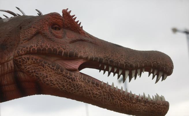 Астероидът, убил динозаврите, е предизвикал цунами с невиждани размери