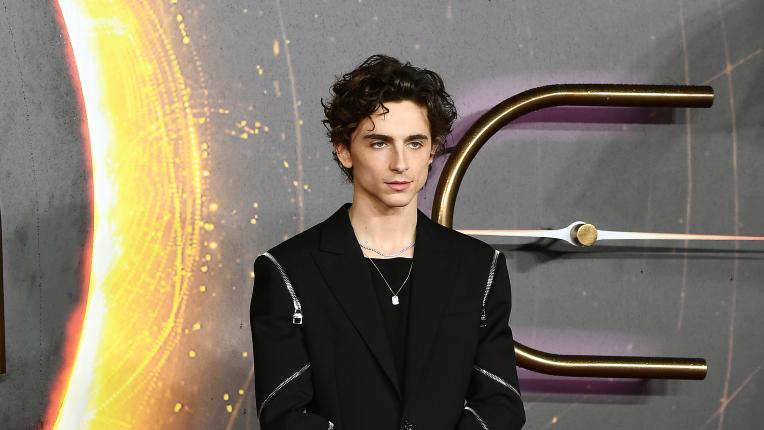  Тимъти Шаламе на аления килим за „ Дюн “ 