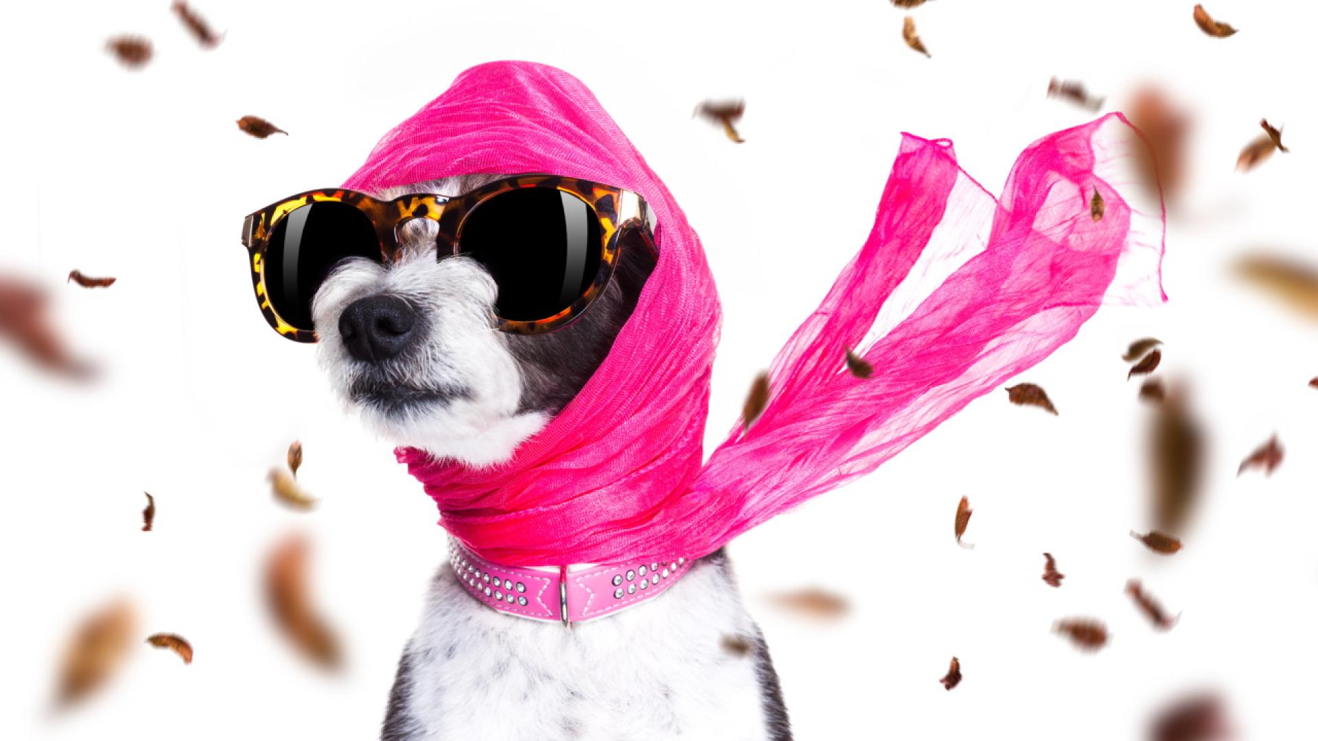 За четвъртък 10 април е обявено предупреждение от първа степен