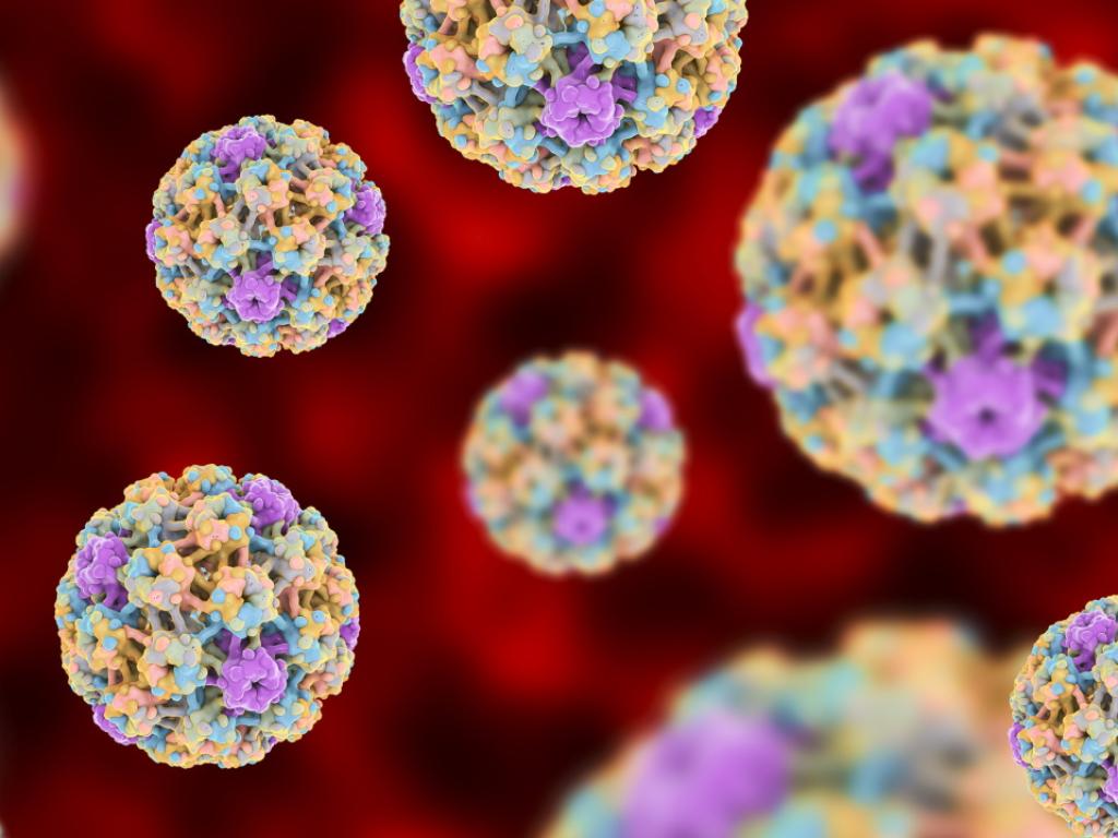 За мъжете има в пъти по голям риск от жените да