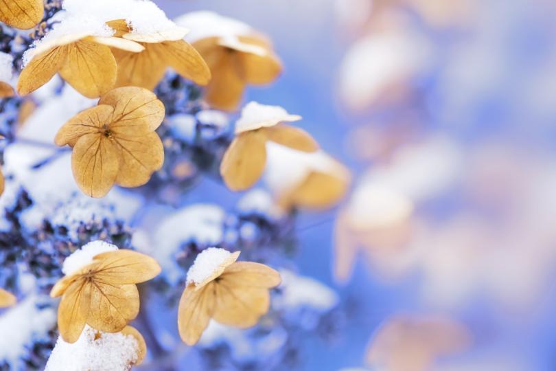 Дневен хороскоп за 25 януари, вторник - снимка 8