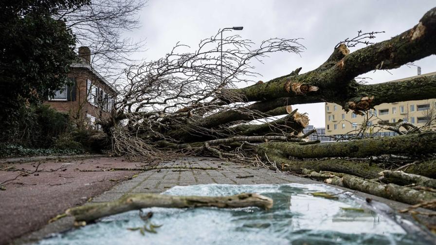 Бурята „Юнис“ взе жертви в Нидерландия