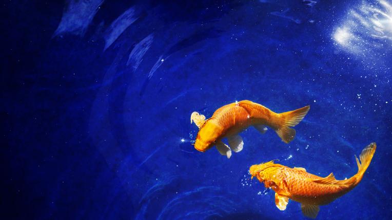  5-те най-важни астрологични събития през март 