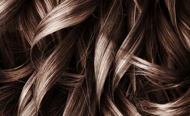 Проучване показва ранната еволюция на човешката коса