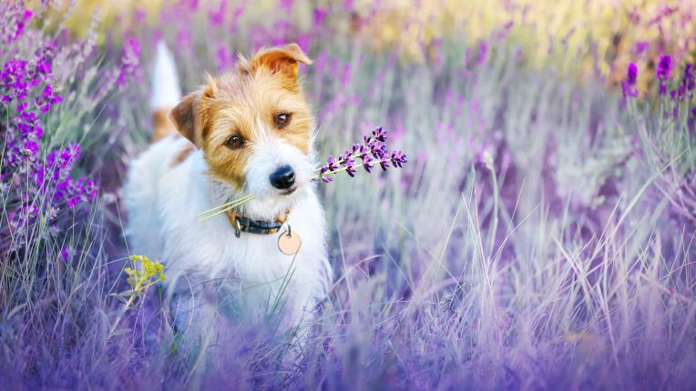  Дневен хороскоп за 30 март, четвъртък 