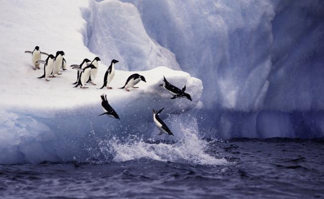 Антарктида шокира учените и ги уплаши