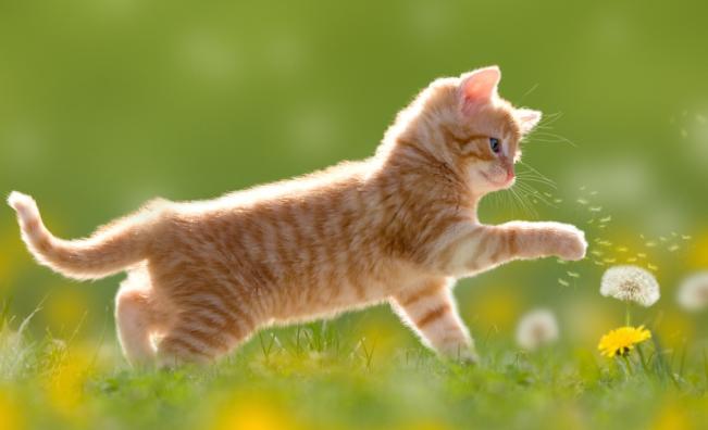 Слънце и до 20 градуса в понеделник: Очаква се обрат във времето