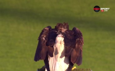 Символът на Лудогорец орелът Фортуна направи традиционния си полет