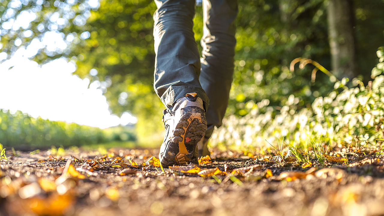 <p>Редовните разходки могат да помогнат за намаляване на риска от&nbsp;депресия</p>