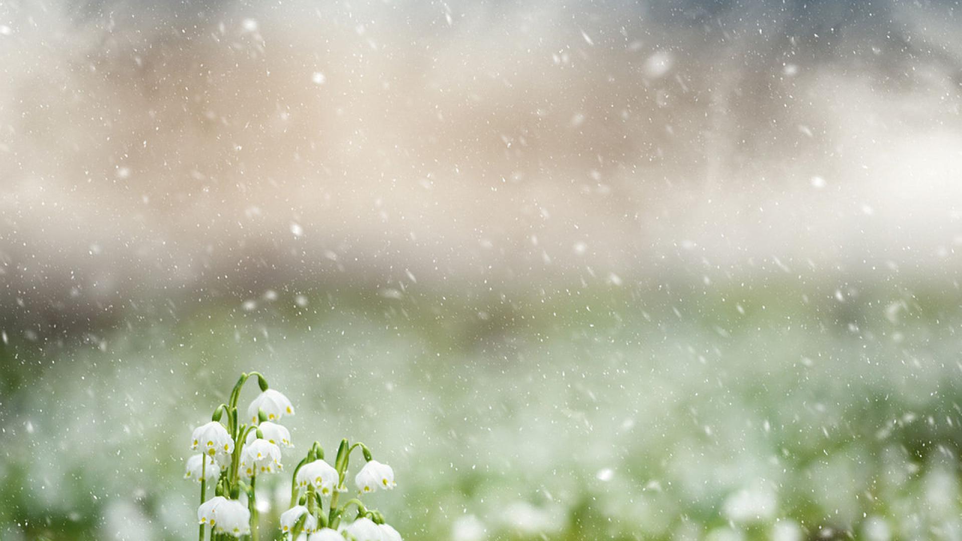 Април започва с облачно и дъждовно време белязано от развитието