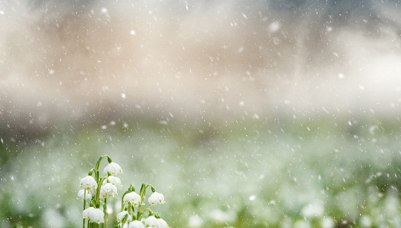 От -5 до +29 градуса: Април идва с време на крайностите