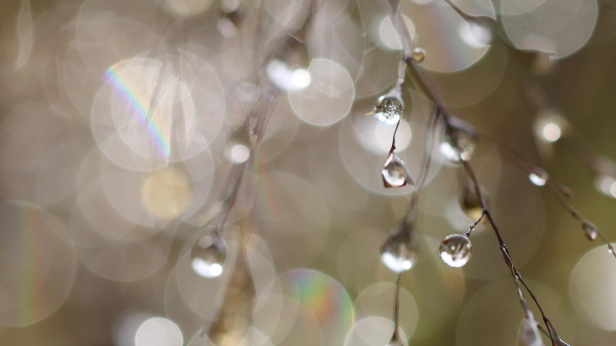 Слънцето изгрява за Цветница