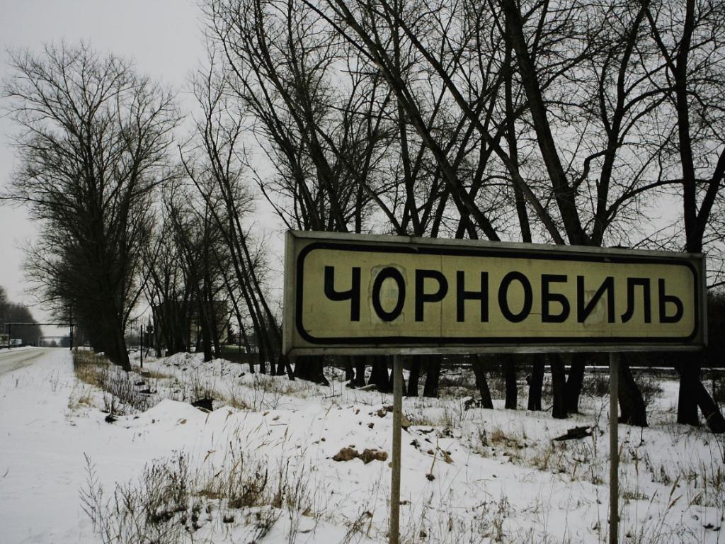 Дивите прасета от Чернобил са обект на дългогодишна научна загадка