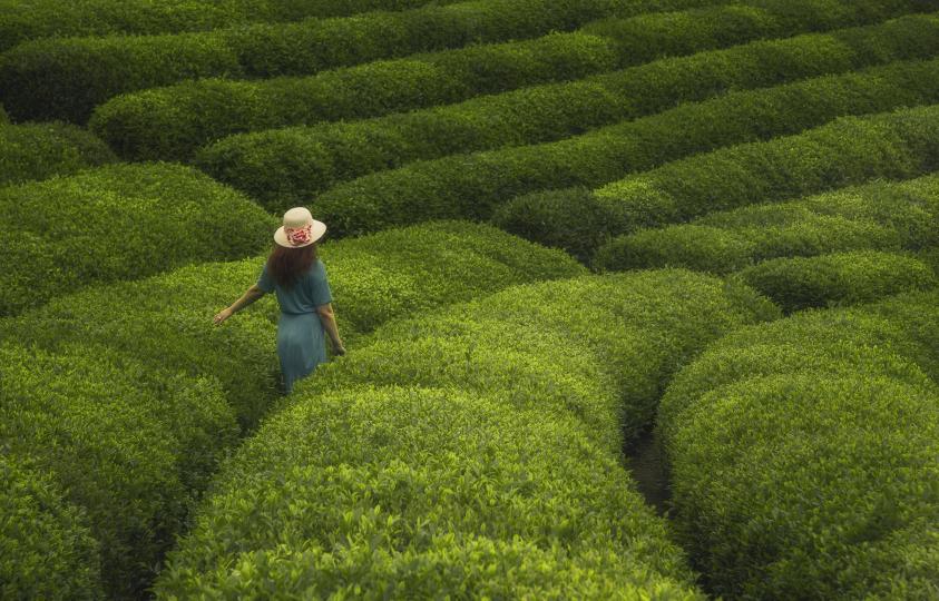 Дневен хороскоп за 1 май, неделя - снимка 10