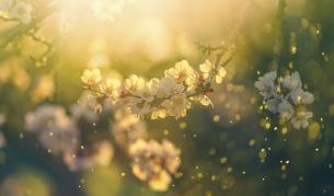 Март носи слънце и пролетни температури, но и изненади: Ето какво време ни очаква