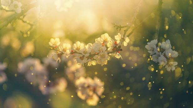 Предстоят серия слънчеви дни