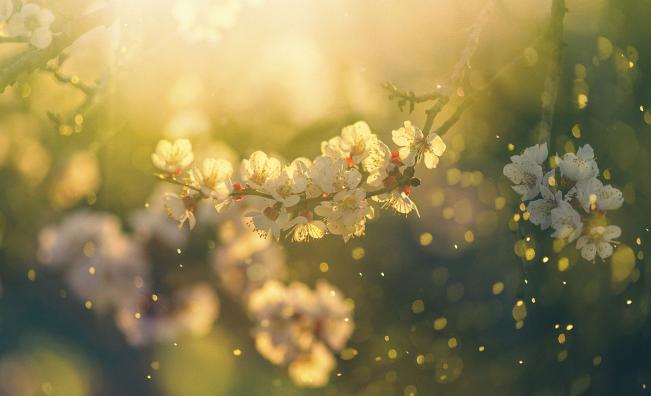 Март носи слънце и пролетни температури, но и изненади: Ето какво време ни очаква