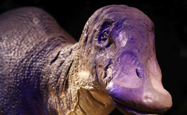 Продадоха скелет на рядък вид динозавър за 12,4 милиона