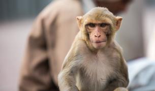 Снимката е илюстративна